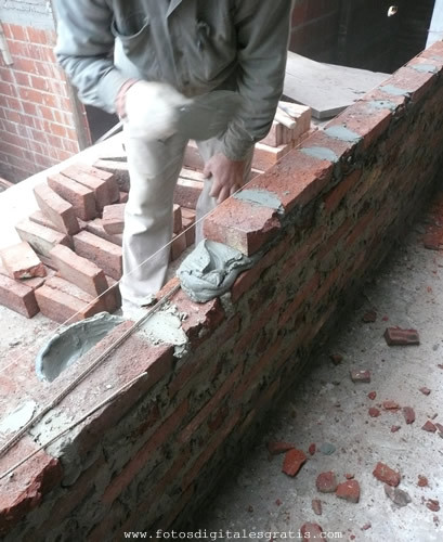 albaillito's profile picture. soy albañil lito, y voy a conquistar a chipera gaga