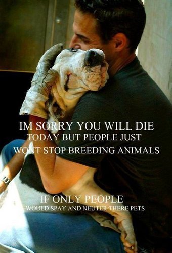 payitforwardfl's profile picture. 