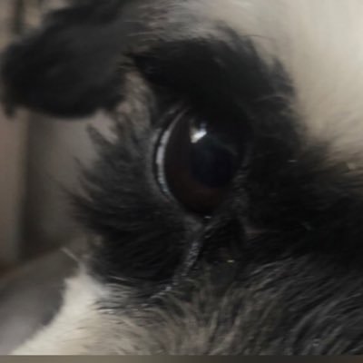 VHSM01's profile picture. Vive y deja vivir