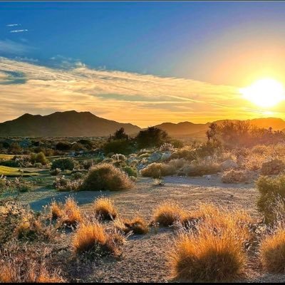 Og_DRToboggan's profile picture. Metallica sucks