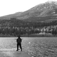 D L (@dustyloops) 's Twitter Profile