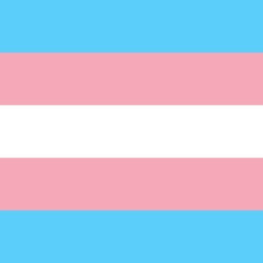 Trans women are women. Everywhere.