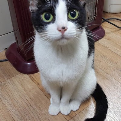 choicom70's profile picture. 