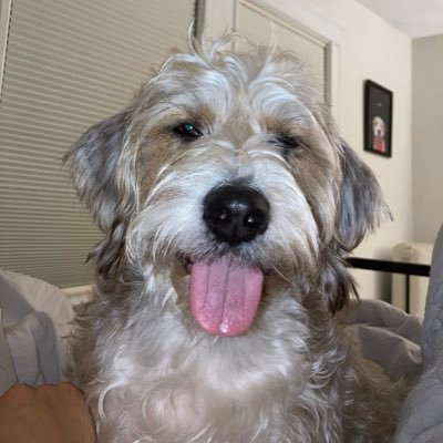 waywardsoul8's profile picture. 