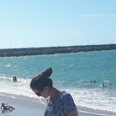 SjcMorais's profile picture. 