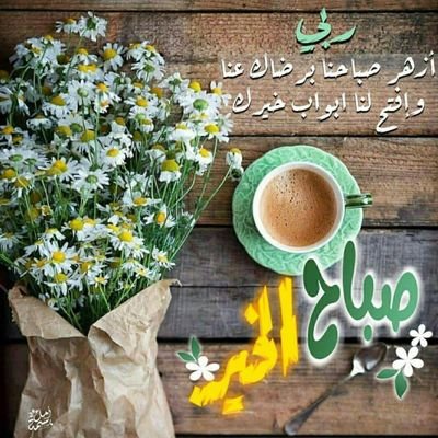 4ZgTEag3H9jJEGR's profile picture. 