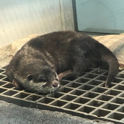 no7787_m0's profile picture. 