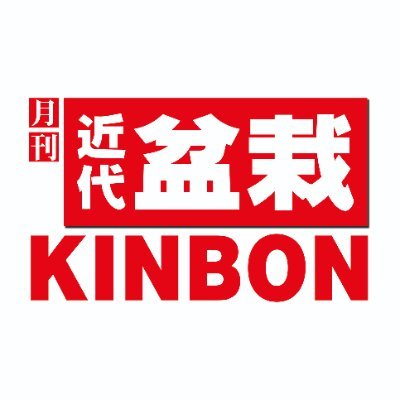 kinbon_bonsai Profile Picture