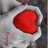 lujainf's profile image