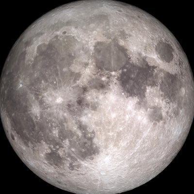 moon__glorious Profile Picture