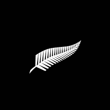 A Kiwi who is sick of people being marginalized for their religion, race, color or anything else that people think make them different.