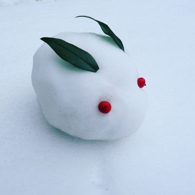 気がむいたらなんか言ってます。最近黒猫と暮らし始めて猫アカウントのようになってますが、もともとが雑記アカウントなので、色々ごちゃまぜですがそれでもよろしければどうぞごゆるりと