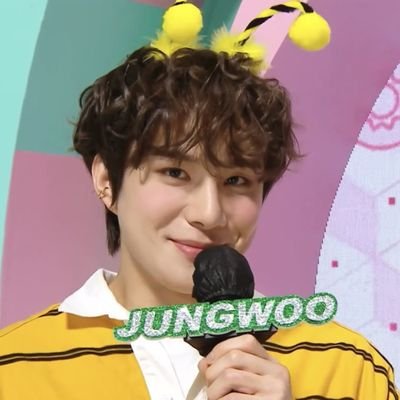 your average sugaringcandy and realstraykids enjoyer