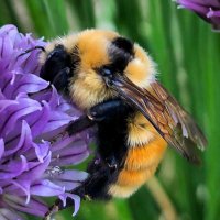 Sweet Pure Honey (@sweetpurehoney) 's Twitter Profile Photo Sweet Pure Honey (@sweetpurehoney) 's Twitter Profile Photo