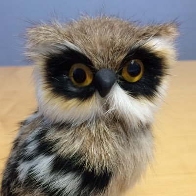 CalvinH75751419's profile picture. 