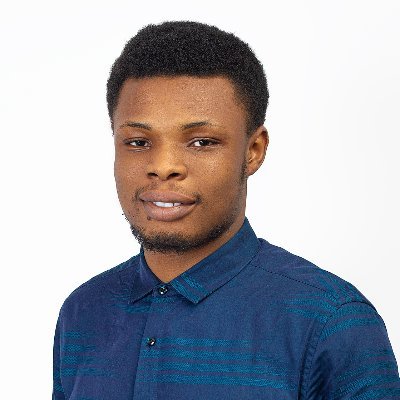 Bachelor of Engineering (Electronic Engineering), Software developer.