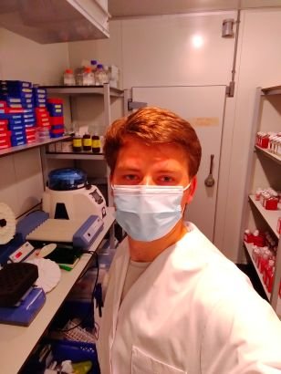 cell biologist / physiologist | PhD canditate @endo_connect at Helmholtz Munich