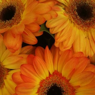 eatsalls's profile picture. 