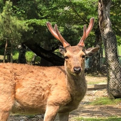 浦和レッズ チェルシー