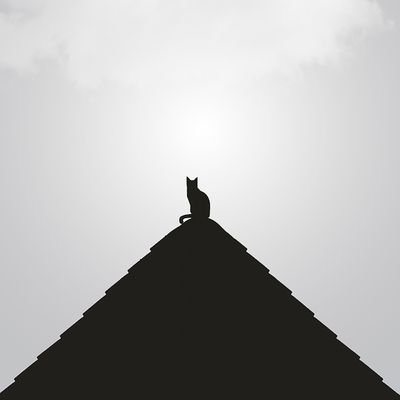 SamaJJJJJJJJJJJ's profile picture. Investor
Love to invest in #crypto

DO SMART WORK NOT HARD WORK👍🏻