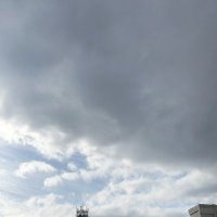 ささ (@vt_aqlm) Twitter profile photo