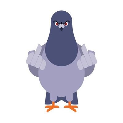 MTriffterer's profile picture. 