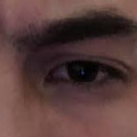Alexander Netudykhata (@anetudykhata) 's Twitter Profile