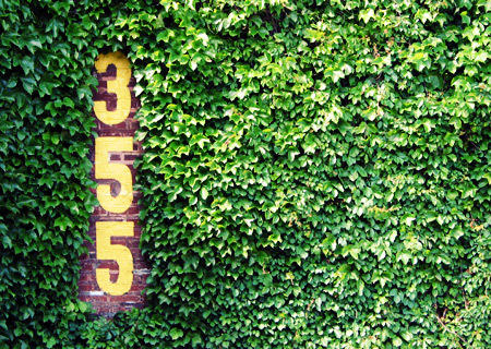 WallOfIvy's profile picture. Everybody Loves The Cubs, on WGN! | Contributor: @cubbiescrib