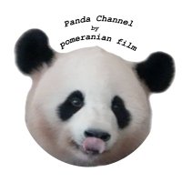 ぽめぱんPanda Channel by pomeranian film (@ouko_hama1202) 's Twitter Profile