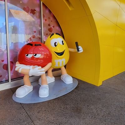 🌍Travel_with_me Profile