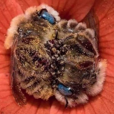 suhoj571's profile picture. ajdemi popusi za sve hakere,botove i ostale skotove.