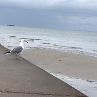 Vom Weidenbach ππ©πͺπ (@vom_weidenbach) 's Twitter Profile