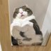 คนของลิตเติ้ล (@pvlittlebear) Twitter profile photo คนของลิตเติ้ล (@pvlittlebear) Twitter profile photo