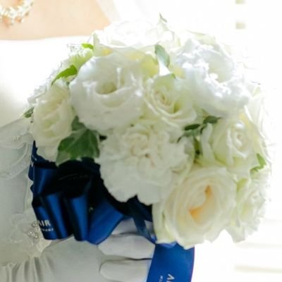 harustimesds's profile picture. 業界専門紙の新人記者。情報収集用。ツイートはしません。