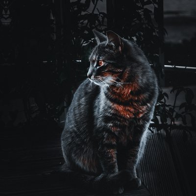 E4404_'s profile picture. Kernel's E4404