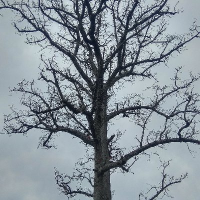 JC_ny_re's profile picture. Research and Self-Development Scientist. Reality Explorer.