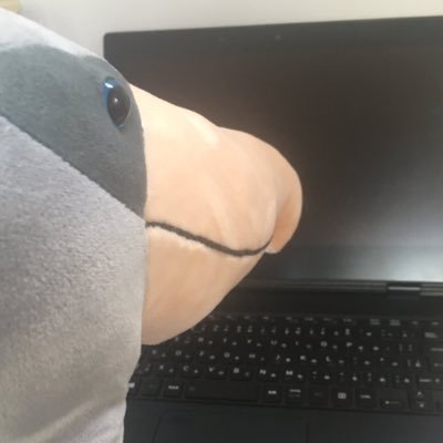ていぼうさんのプロフィール画像