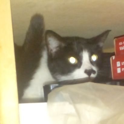 fedeespin0's profile picture. 