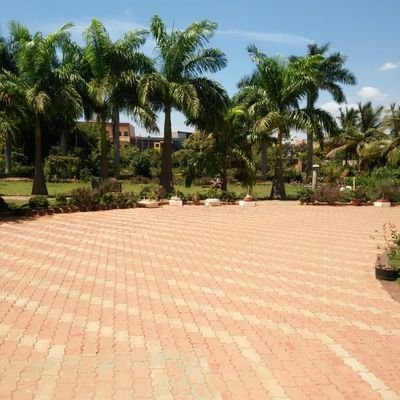 Hjm1699's profile picture. In seek of hapiness