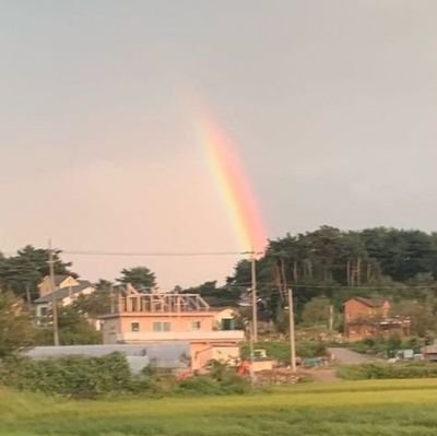 akeake_akemi's profile picture. au 日文 /ALICe