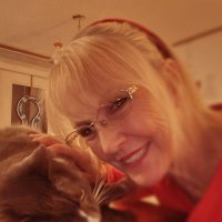 Karen Orr - @Cptkaren11 Twitter Profile Photo