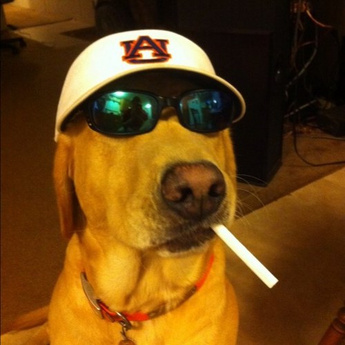 coachrob21's profile picture. 