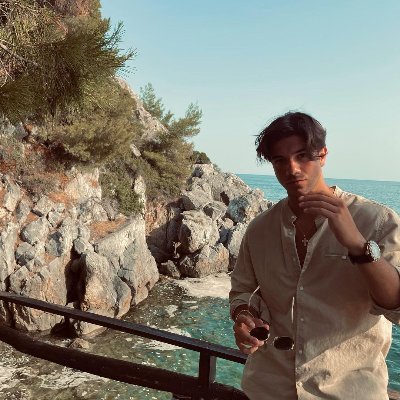 bottichelli_n's profile picture. Hardworking