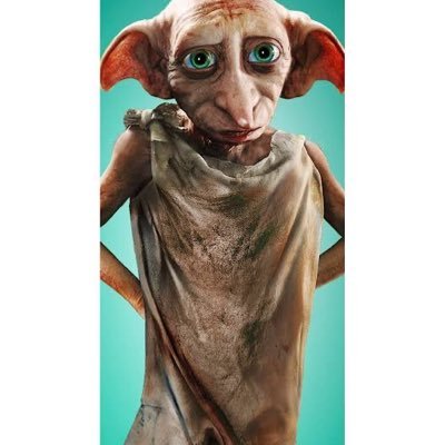 nilosaslan's profile picture. Potterhead