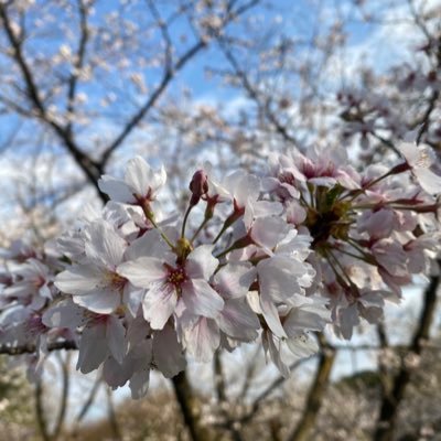 saktsi's profile picture. 関∞(村)、Aぇ(末)、ST(田)、ランペ(神)などなど推しが多め