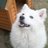 monkosh (@monkoshi) 's Twitter Profile
