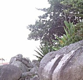 PUTARIA!