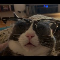 bunsenburger (@two_cansam) 's Twitter Profile Photo