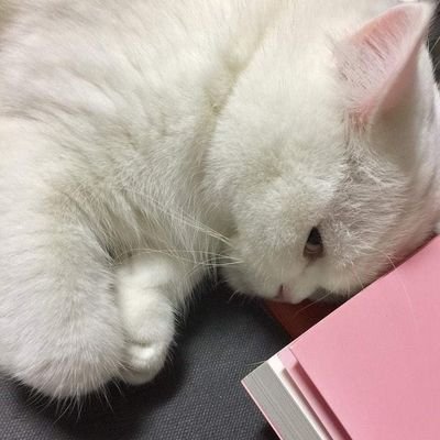 BJanms's profile picture. 