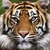 Marcus L. Lewis, Ed.S. (@marcusllewised1) Twitter profile photo Marcus L. Lewis, Ed.S. (@marcusllewised1) Twitter profile photo
